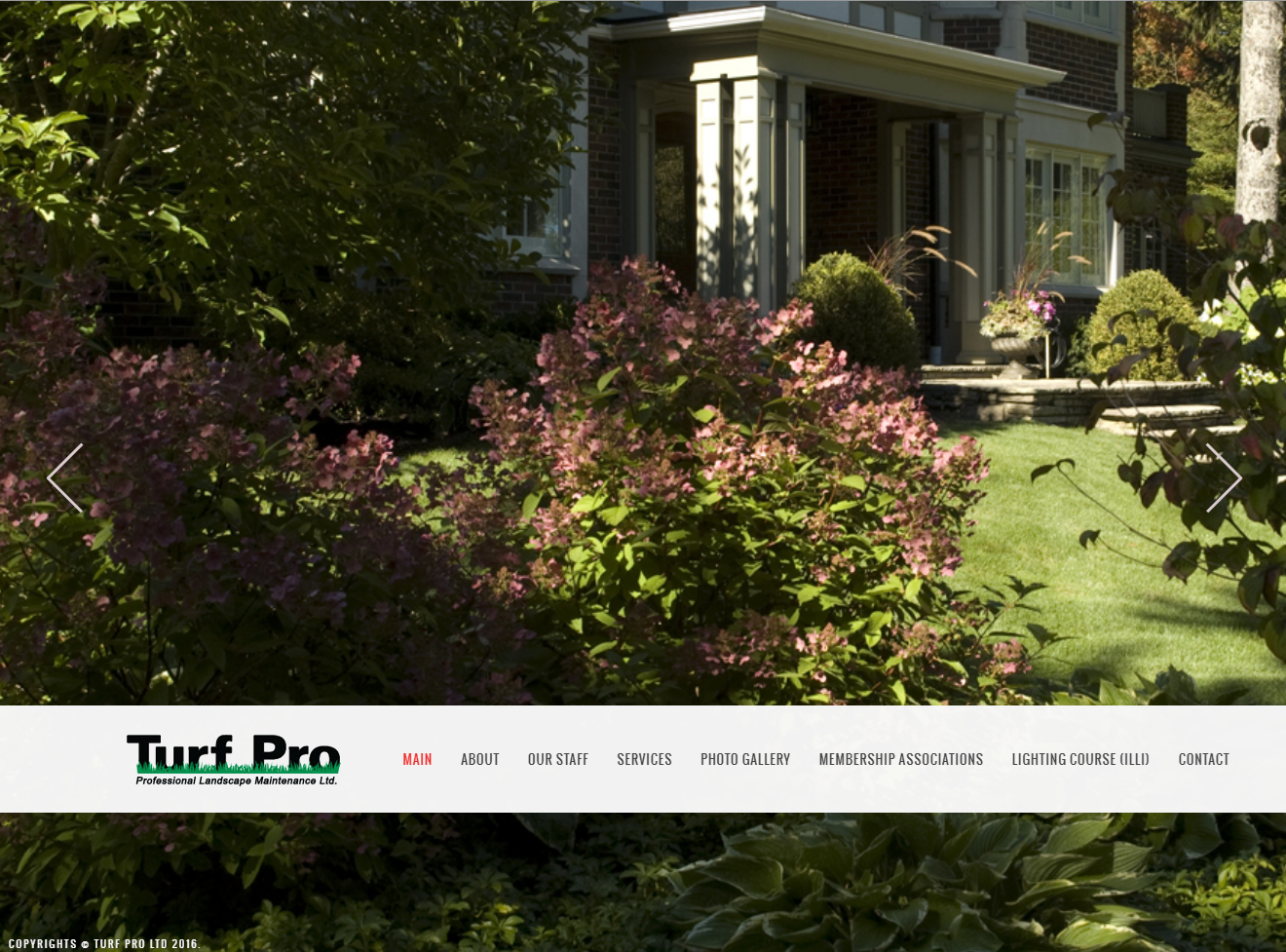 Turf Pro Thumbnail